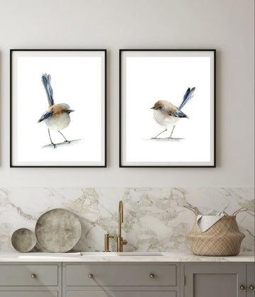 Blue Wren Bird Set